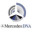 Mercedes DNA